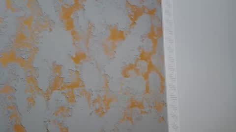 Alma online show from 04/16/26, 02:18