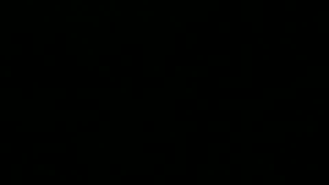 Peter online show from 12/01/24, 08:31