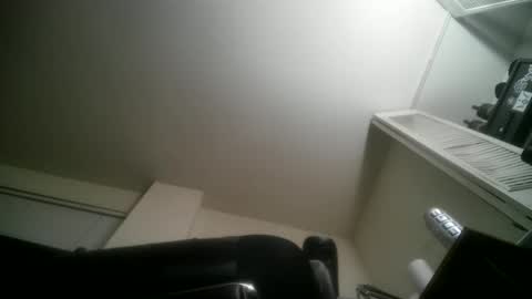 11inchtattedtrinibad online show from 03/24/26, 10:20