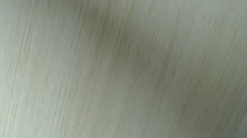 Aurora Willows online show from 04/18/26, 02:48