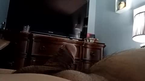 12345marihtc online show from 11/24/25, 03:06