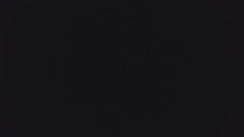 1900pley online show from 04/16/26, 10:27