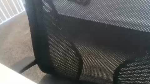 1chris505 online show from 01/02/25, 06:01