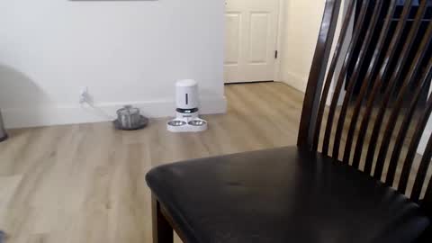 i erupt if you suck ur nipples 4 me and look at the camera while watching me online show from 11/09/25, 02:59