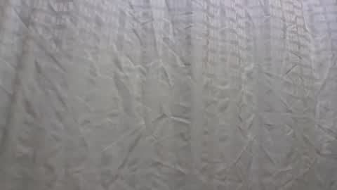 Snapshot of 1nastya8 chatting on 11/21/25, 02:38 TheShyOne18 online show from 11/21/25, 02:38