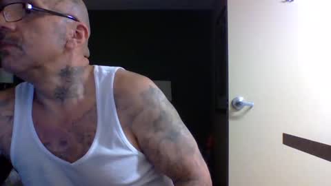 Snapshot of 1nastya8 chatting on 01/15/26, 11:04 TheShyOne18 online show from 01/15/26, 11:04