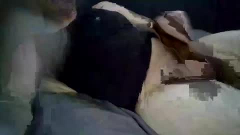 222dnc online show from 04/10/26, 08:46