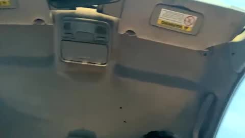 23havefunwitme online show from 02/17/25, 12:43