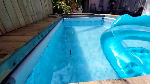 247nude1987 online show from 11/09/25, 11:47