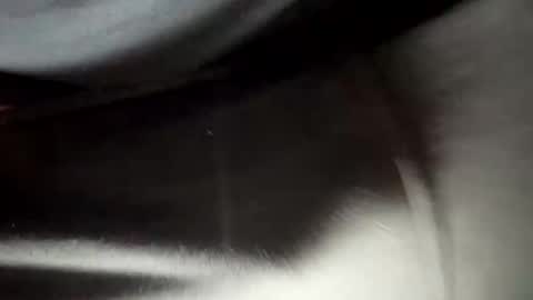 24robin online show from 02/05/26, 08:46