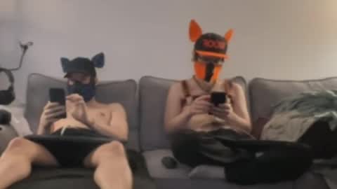 2pupsinheat online show from 07/11/26, 12:57