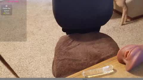 2tiredoftoys online show from 11/15/25, 11:32