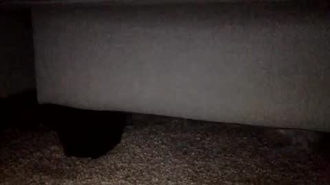 30nick online show from 02/02/26, 03:16