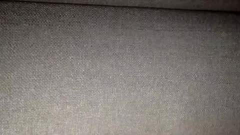 30nick online show from 02/09/26, 03:54