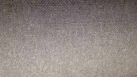 30nick online show from 02/12/26, 07:25