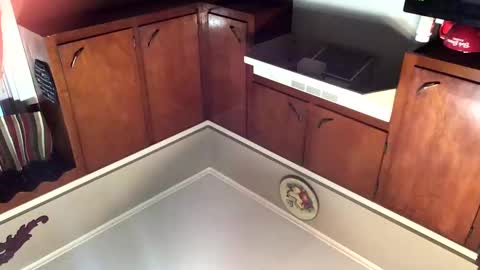 Snapshot of 33adidas chatting on 11/08/25, 11:54 33adidas online show from 11/08/25, 11:54