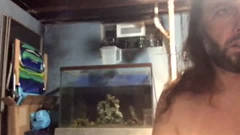 33adidas online show from 11/26/25, 08:48