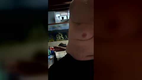 33adidas online show from 02/16/26, 01:07