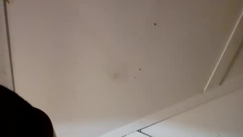 4j_n online show from 04/13/26, 02:39