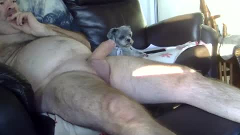 Snapshot of 66bear chatting on 10/05/25, 11:41 66bear online show from 10/05/25, 11:41