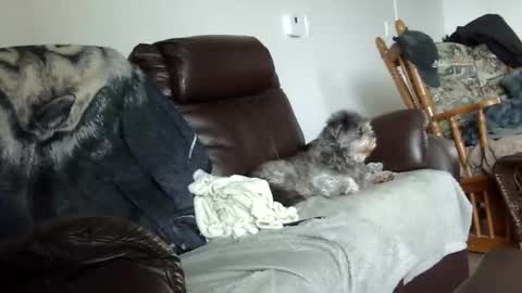 66bear online show from 12/21/25, 02:02