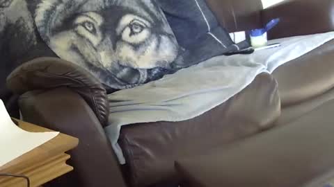 66bear online show from 03/09/26, 12:53