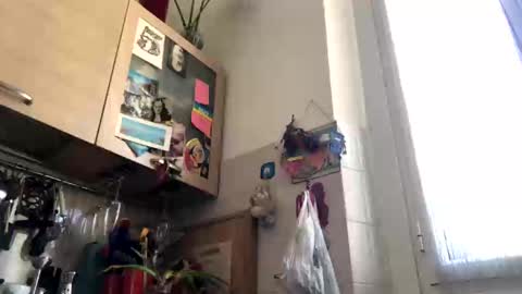 6990fiko online show from 03/04/25, 12:55