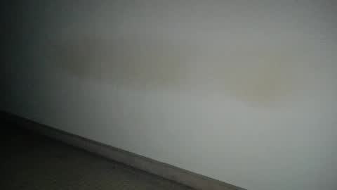 69___pas online show from 12/12/24, 07:52