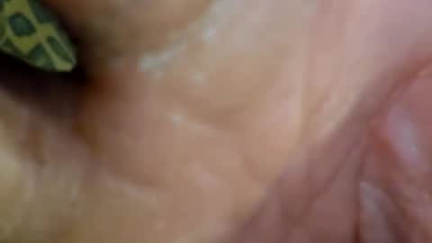 HUGH G RECTION online show from 12/07/24, 09:00