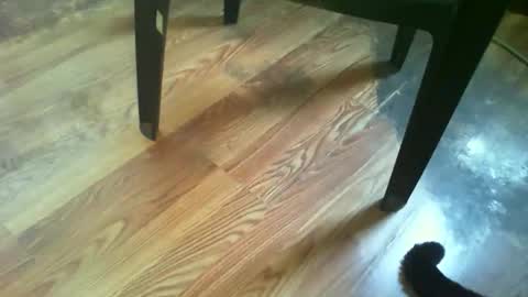 69forever453443 online show from 11/14/25, 01:43