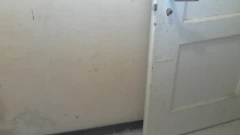 69pifpaf online show from 01/31/25, 02:17