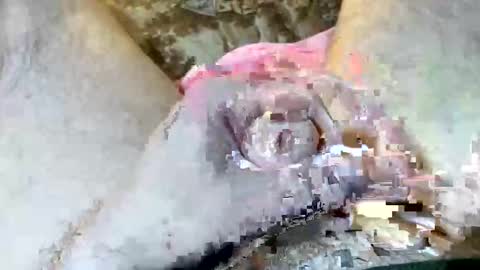 69rumbler online show from 11/06/25, 10:05