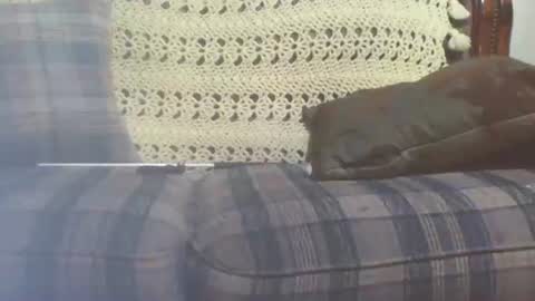 69sextoyboy69 online show from 01/25/25, 03:41