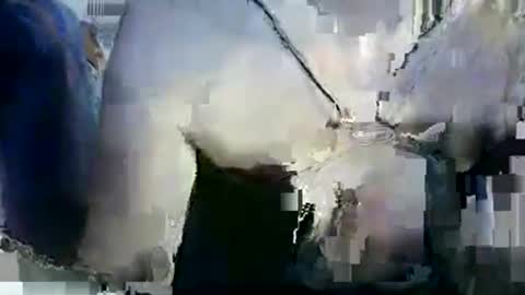 Lilu online show from 01/12/26, 09:53