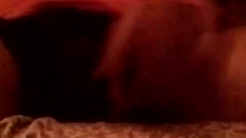 8inchhardbr online show from 02/23/26, 03:59