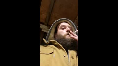 9_in_bearded_bull online show from 04/12/26, 04:39