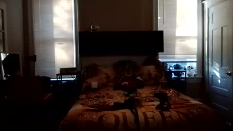 KittyPoo107 online show from 06/03/26, 11:57