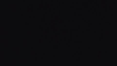  Abby  online show from 02/17/26, 11:22