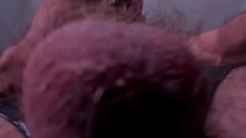 Snapshot of _adamcoper_ chatting on 10/25/25, 03:40 _adamcoper_ online show from 10/25/25, 03:40