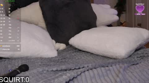 Snapshot of _aleksa chatting on 01/25/25, 09:15 Alexa online show from 01/25/25, 09:15