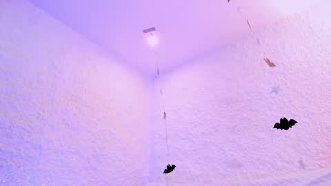 Alexander online show from 10/28/25, 02:42