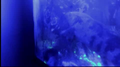 Giulia...... online show from 10/29/25, 04:37