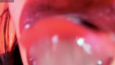 antonia online show from 11/13/25, 10:14