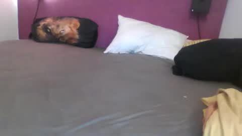 Snapshot of _bertl_ chatting on 10/25/25, 08:36 _bertl_ online show from 10/25/25, 08:36