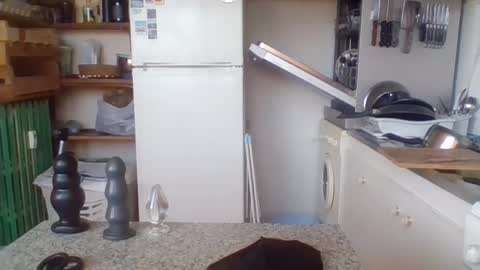 Snapshot of _bubble_buttfunxxx chatting on 01/29/25, 08:40 _bubble_buttfunxxx online show from 01/29/25, 08:40