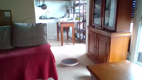 Snapshot of _bubble_buttfunxxx chatting on 10/11/25, 09:41 _bubble_buttfunxxx online show from 10/11/25, 09:41