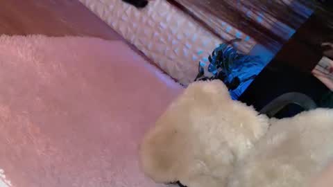 Snapshot of _caroline69 chatting on 03/08/25, 06:32 Caroline online show from 03/08/25, 06:32