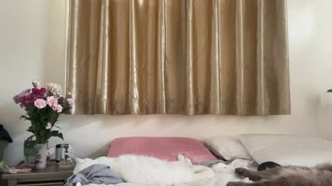 Chelsea xo online show from 02/16/25, 09:16