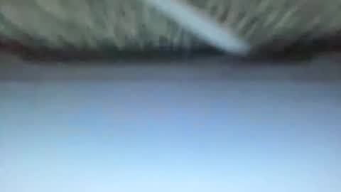 _direwolf_ online show from 02/27/26, 10:59