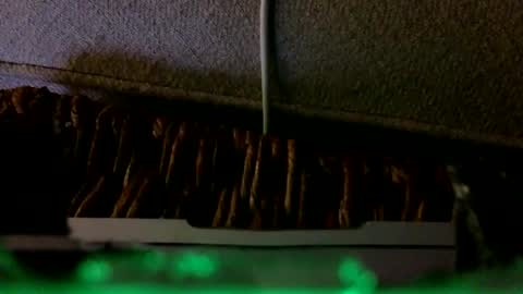 Snapshot of _frankensquirter___ chatting on 02/06/26, 02:27 Rex online show from 02/06/26, 02:27